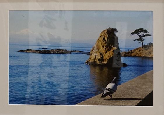 川村 吾一　海の岩の下の礼