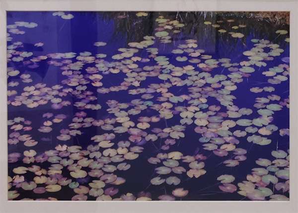 阪西 保　水辺の色彩（尾瀬）