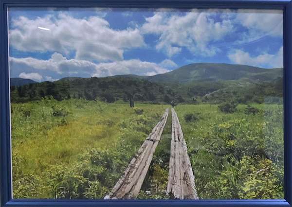 清水 好美　栗駒山登山道